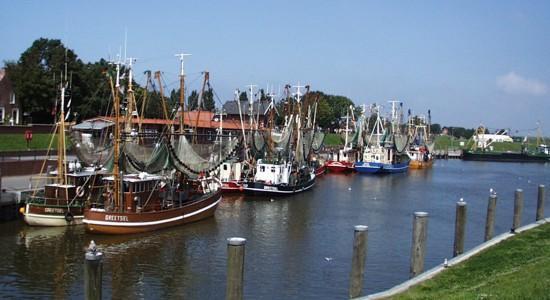 Hafen und Deich